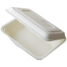 COQUILLE PULPE 183X125MM  X25