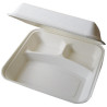 COQUILLE PULPE 3 COMP.245X240X81MM  x25