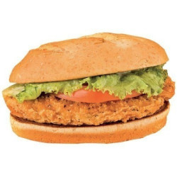 SACHET FILET DE POULET PANURE EPICEE 2 KG -110G (+/-10g) SURGELE 