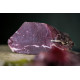 Cecina en morceaux 12 mois 5 kg