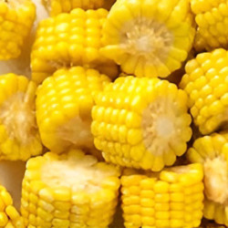 Épis de maïs 1/4 surgelé IQF 2,5 kg