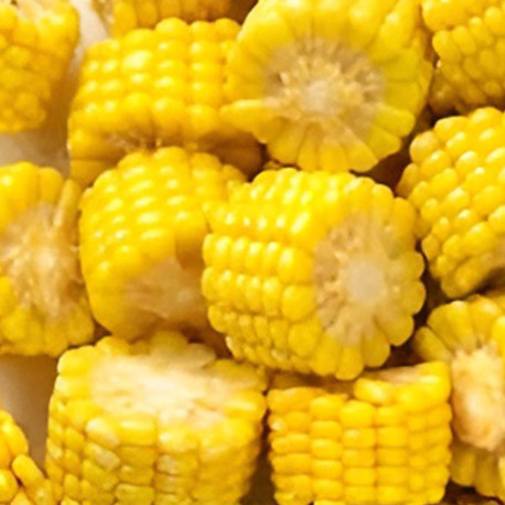 Épis de maïs 1/4 surgelé IQF 2,5 kg
