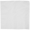 Serviette papier blanche 2 plis 30 X 30 cm