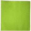 SERV 40X40 NON TISSEE VERT ANIS/KIWI X50