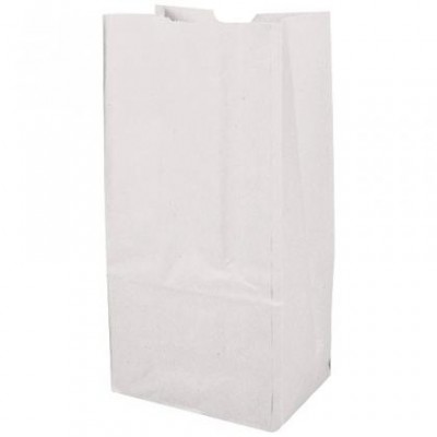 Sac sos pm 12*8*24 kraft blanc