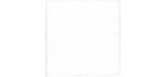 Serviette blanche 30 x 30 1 pli