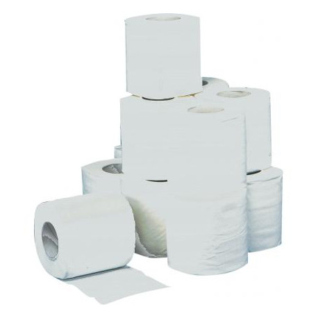 PAPIER TOILETTE 2 PLIS BLANC 200F PAR 108